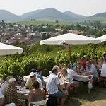 Dalberg 3*