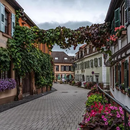 Dalberg Hotel