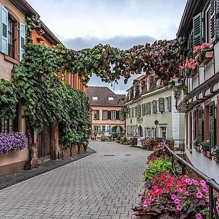 Dalberg 3*